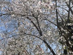 -徐家汇源景区-衡山公园