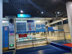 -莲花体育中心