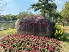-鹅湖玫瑰文化园