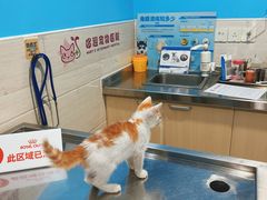 -哆趣宠物医院·眼科·内镜·急重症转诊中心(上海店)