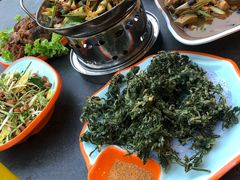-向外鱼乐·土菜·虹鳟鱼