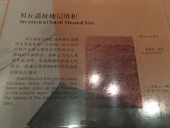 -烟台市博物馆