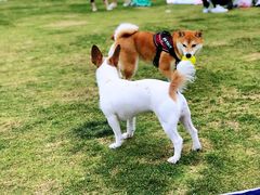 -栖露营camping·天幕烧烤·团建拓展·采摘营地