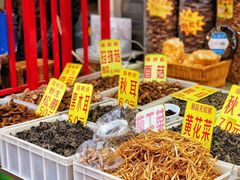 -中山美食街