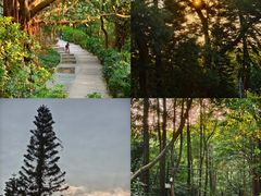 -广州市白云山风景名胜区