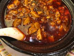 -陈麻婆豆腐总店