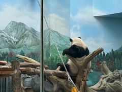 -武汉动物园