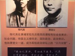 -长洲岛