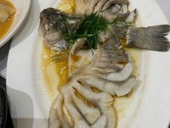 清蒸生猛鲈鱼-稻香酒家·35年老字号(侨光店)