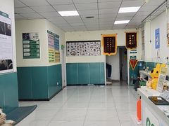 -乖乖宠物医院·猫科·急重症中心(车站北路分院)