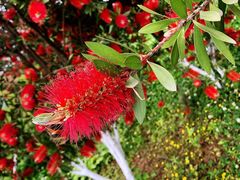 -桤木河湿地公园