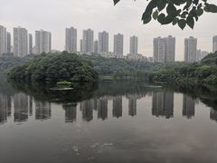-重庆彩云湖湿地公园