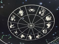 -深圳少年儿童图书馆