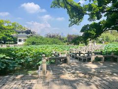 -江心屿景区
