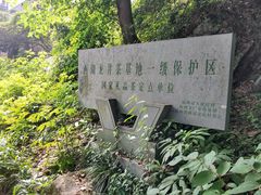 -中国茶叶博物馆(双峰馆区)