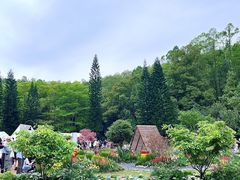 -深圳仙湖植物园