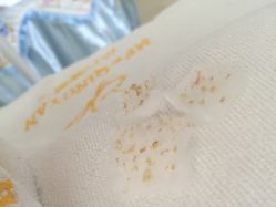 -苗方清颜专业祛痘