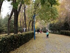 -森林公园(尖草坪区)