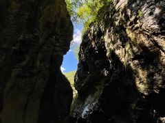 -牛背梁国家森林公园