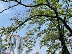 -红星桥(地铁站)