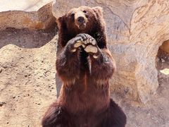 -石家庄市动物园