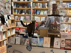 -猫的天空之城概念书店(杭州南宋御街店)