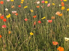 -云南省昆明市正义路步行街(三市街)