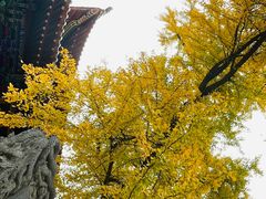 -宝通禅寺