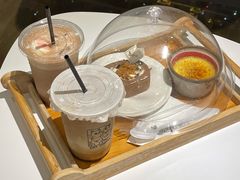 焦糖布丁-猫小主咖啡·猫咖cat cafe(福田店)