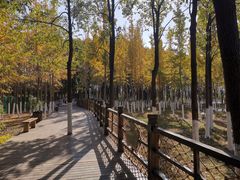 -艾溪湖湿地公园