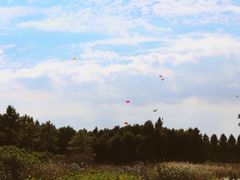 -上海崇明金茂凯悦酒店