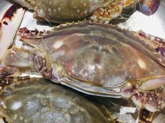 -小厨师·二十年沈家门小海鲜(百井坊巷店)