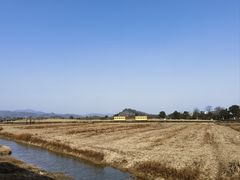 -径山花海