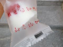 -杭州湾海上花田景区