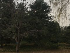 -仁和公园(顺义区)
