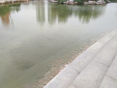 -绿岛公园(滨海新区)