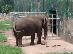 -西安秦岭野生动物园