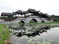 -上海海湾国家森林公园