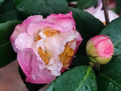 -行人小筑·茶馆(岑村火炉山分店)