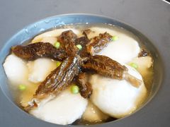 羊肚菌鸡豆腐-半山腰·云南菜(侨福芳草地店)