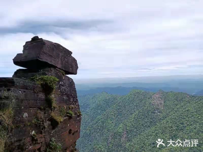 净心 净心 梵净山