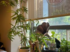 -捌楼咖啡书吧(南开店)