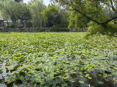 -莲池书院博物馆