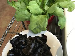 -京城胜利涮羊肉(禧乐汇店)