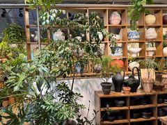 -自由生长植物工作室(深港花卉中心店)