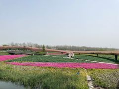 -江苏三台山国家森林公园