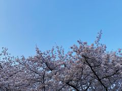 -南浦大桥长途旅游客运站