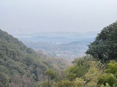 -韬光茶庵