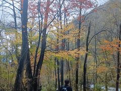-叠溪松坪沟景区
