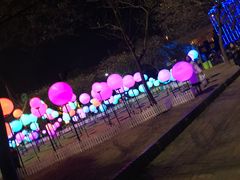 -锦江乐园舞狸花花游园会(夜场专享)